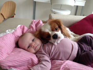 foto41